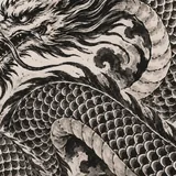 échantillon dragon